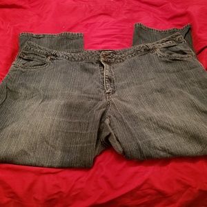 FINAL ⬇️ Woman Within stretch jeans